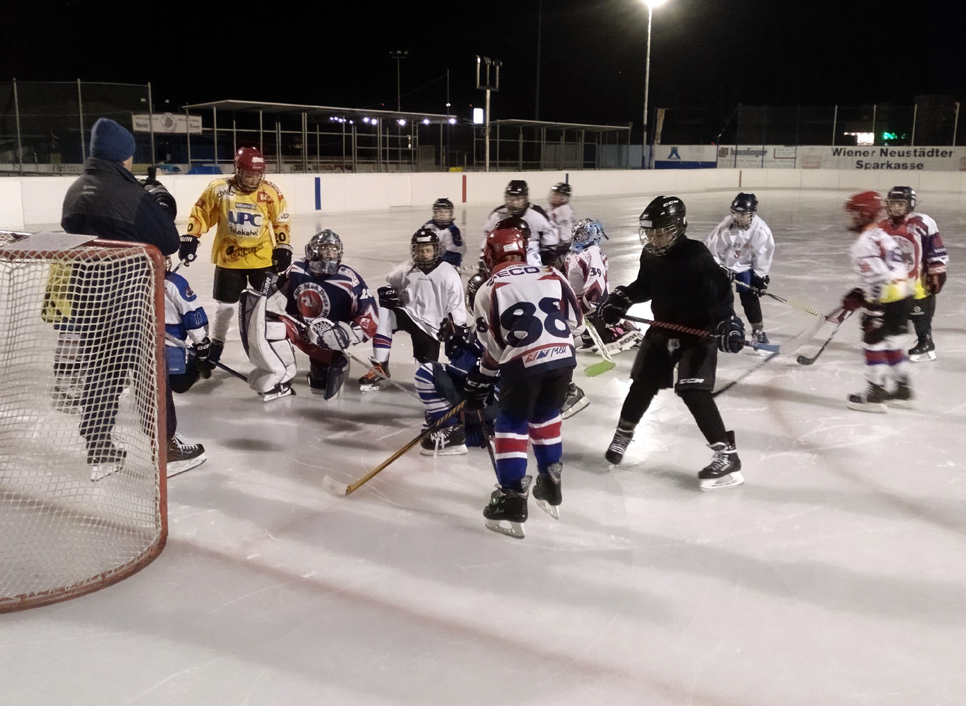 HC Mad Dogs - Training